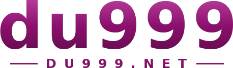 du999 logo